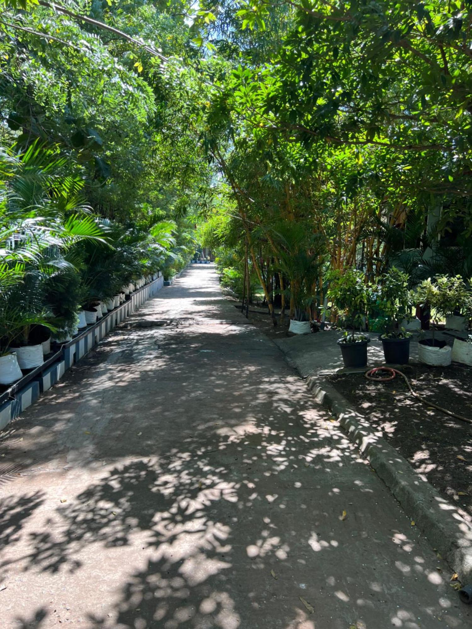 The Midway Jungle Resort Masinagudi Exterior photo
